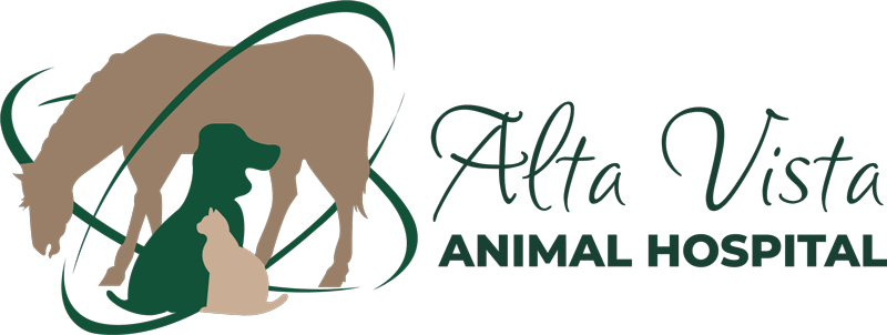 Alta Vista Animal Hospital