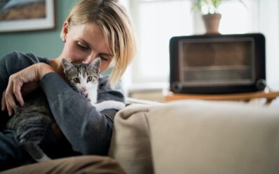 5 Steps to Manage your Pet’s Anxiety